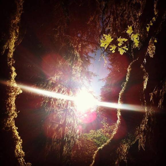 Meet your Posher, Marie-josée - Picture 1 of 1